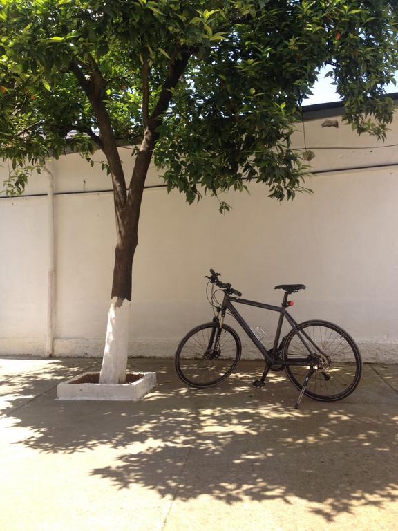 Hostel Metropol 23 Tirana